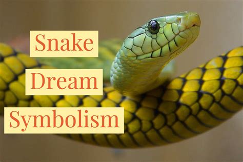 what does it mean to have a dream about snakes